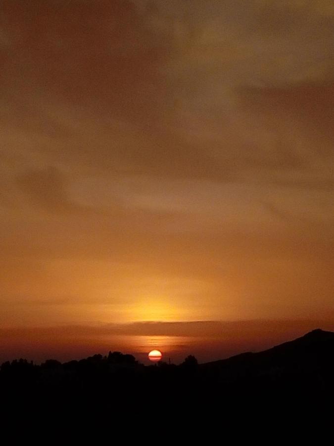 Appartement Summer Sunrise Andros Extérieur photo